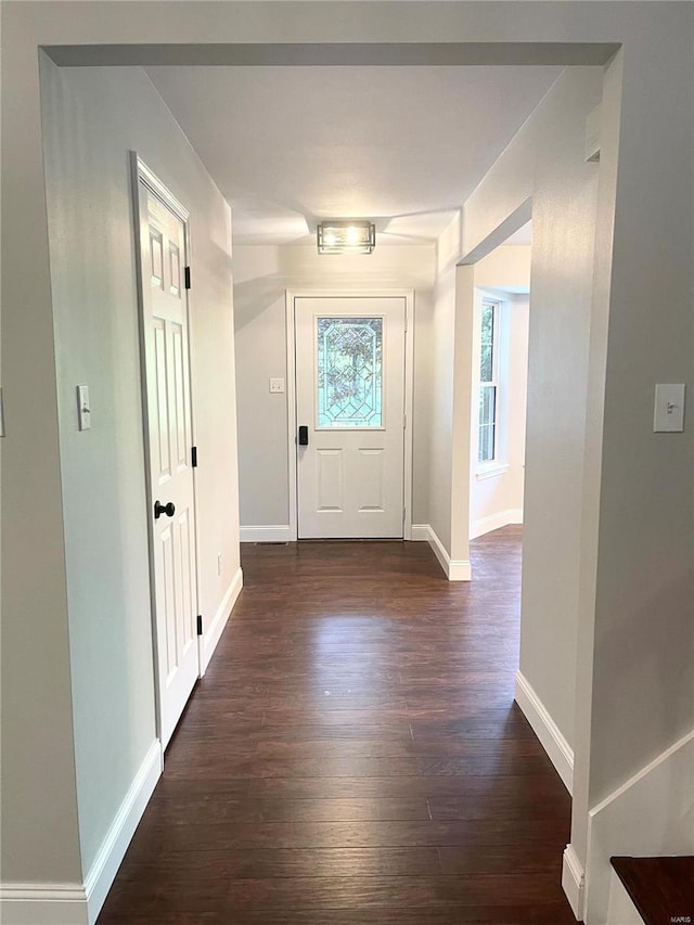 doorway featuring dark hardwood / wood-style floors