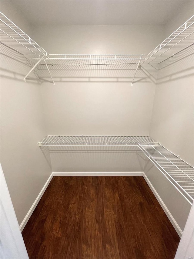 spacious closet with hardwood / wood-style floors