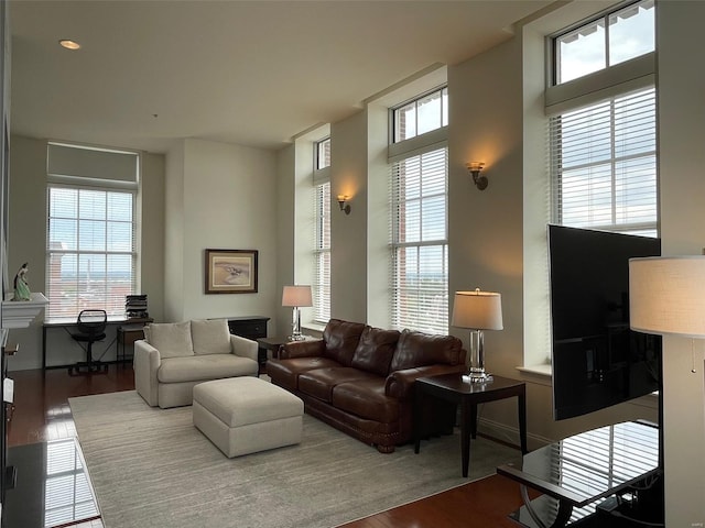 living room featuring a wealth of natural light and hardwood / wood-style flooring