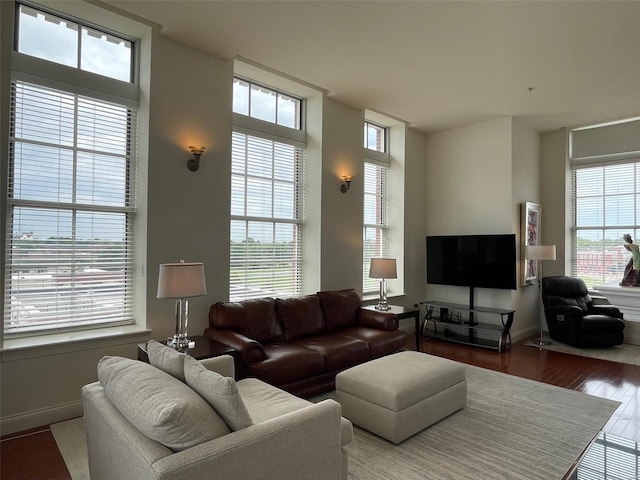 living room with hardwood / wood-style flooring and plenty of natural light