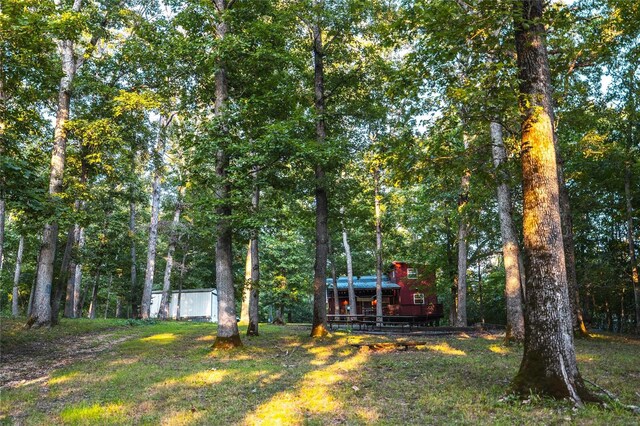 view of yard with an outdoor structure