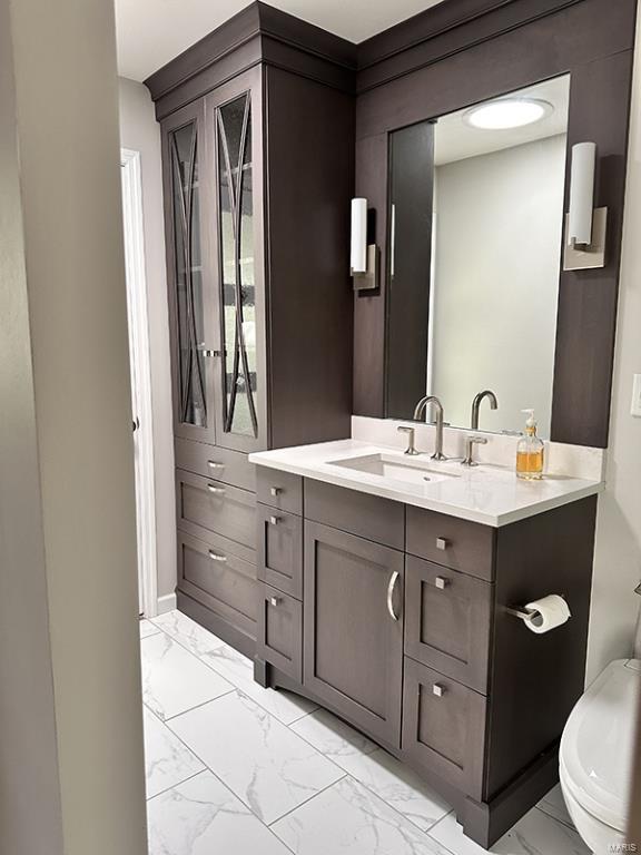 bathroom with toilet and vanity