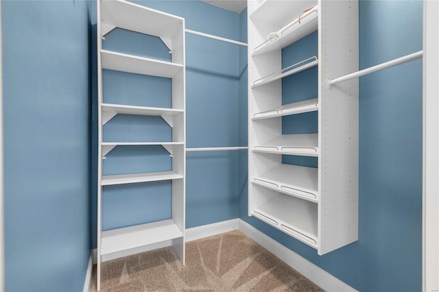 spacious closet with carpet floors