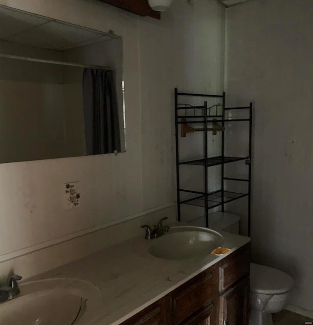 bathroom with double vanity and toilet