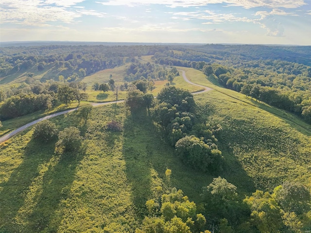 aerial view featuring a rural view