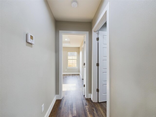 corridor with dark hardwood / wood-style flooring