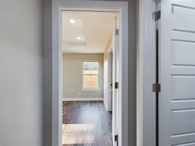 hallway with a raised ceiling and wood-type flooring