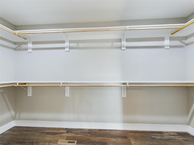 spacious closet featuring wood-type flooring