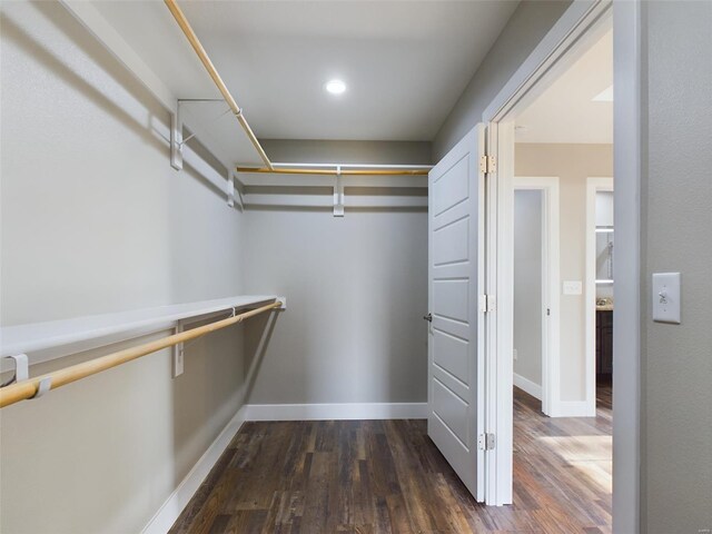 spacious closet featuring dark hardwood / wood-style floors