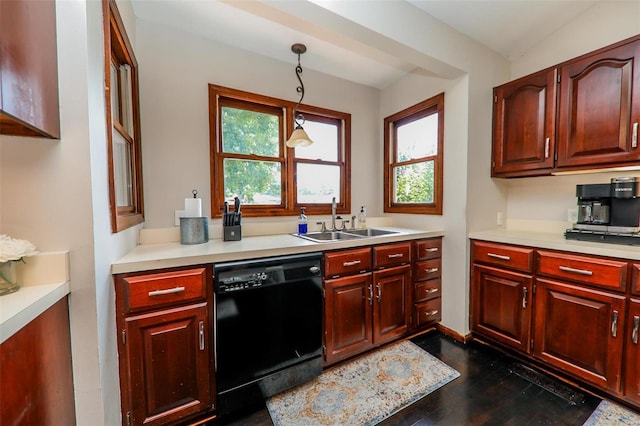 kitchen with sink, dark wood-type flooring, hanging light fixtures, and dishwasher