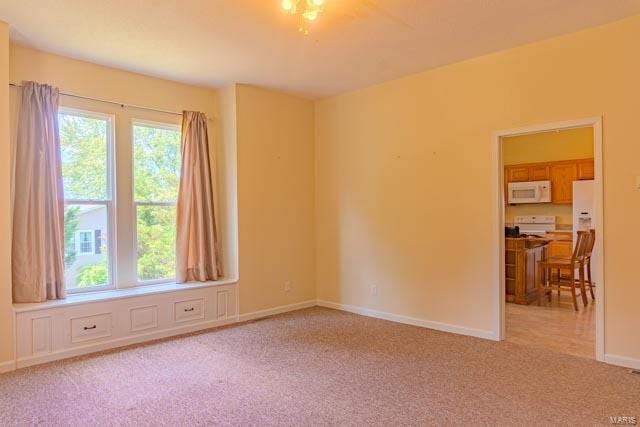 carpeted spare room featuring a wealth of natural light