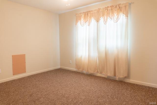 spare room with a wealth of natural light and carpet flooring