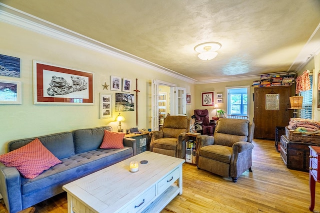 living room featuring wood-type flooring and ornamental molding