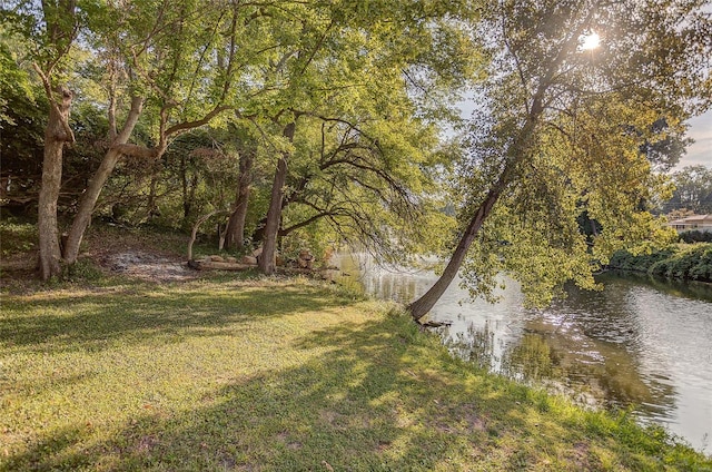 view of yard featuring a water view