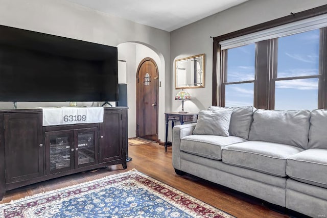 living room featuring hardwood / wood-style floors