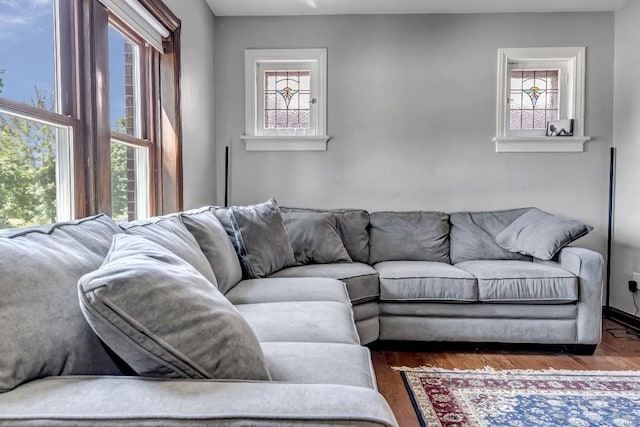 living room with a wealth of natural light and dark hardwood / wood-style floors