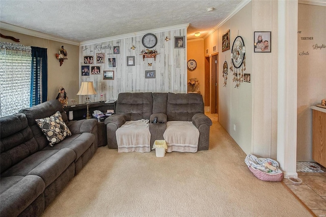 carpeted living room featuring a textured ceiling and ornamental molding