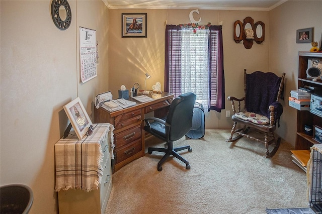 office with crown molding and carpet flooring