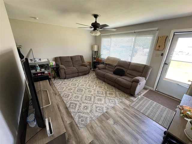 living room with ceiling fan and light wood-type flooring