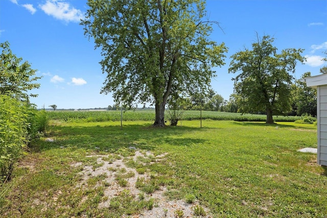 view of yard featuring a rural view