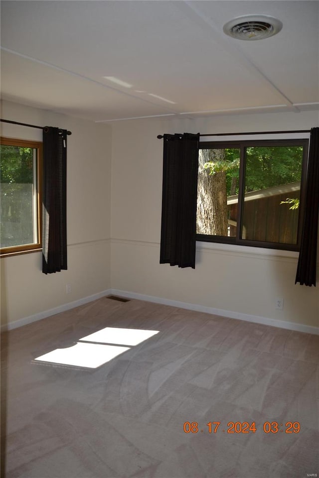 spare room featuring plenty of natural light and carpet floors