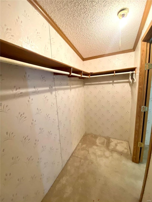 walk in closet with lofted ceiling and carpet