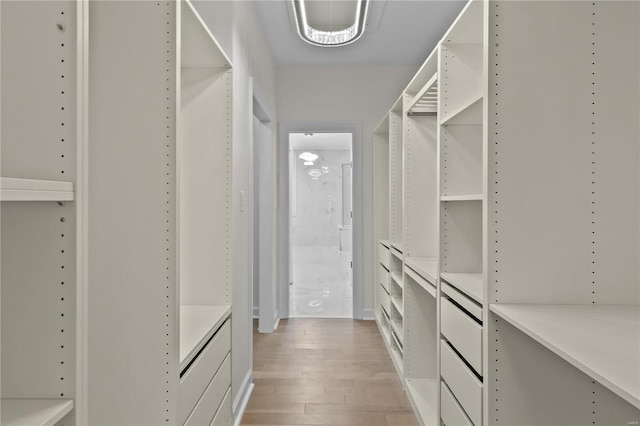 spacious closet with light hardwood / wood-style flooring