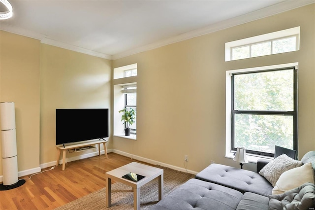 living room with light hardwood / wood-style flooring and ornamental molding