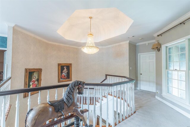 hall featuring a raised ceiling, carpet, and ornamental molding