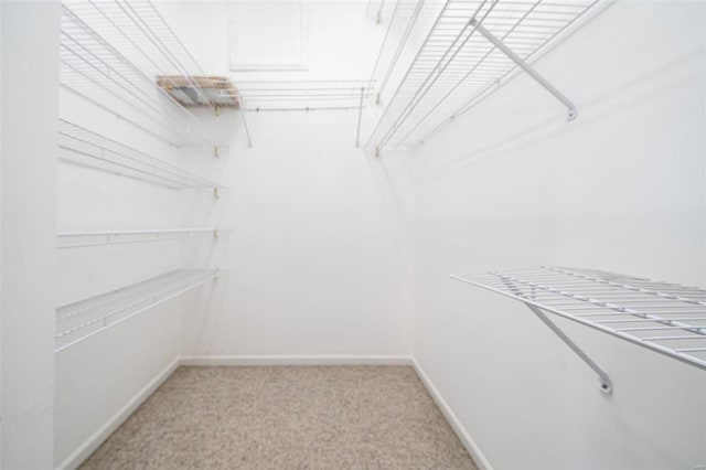 walk in closet featuring light colored carpet