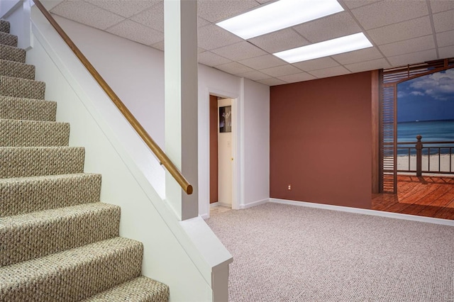 stairs featuring a paneled ceiling, carpet floors, and baseboards