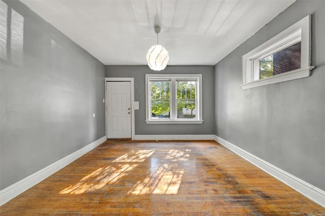 empty room featuring wood-type flooring