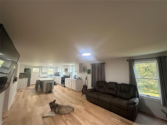 living room with light wood-type flooring