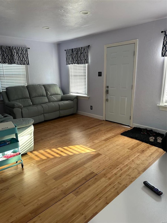 living room featuring light wood-type flooring