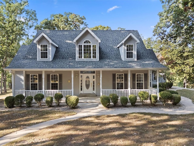 view of cape cod house