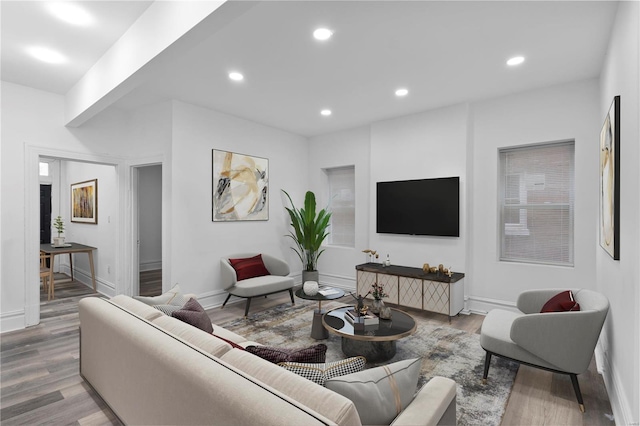 living room with wood-type flooring