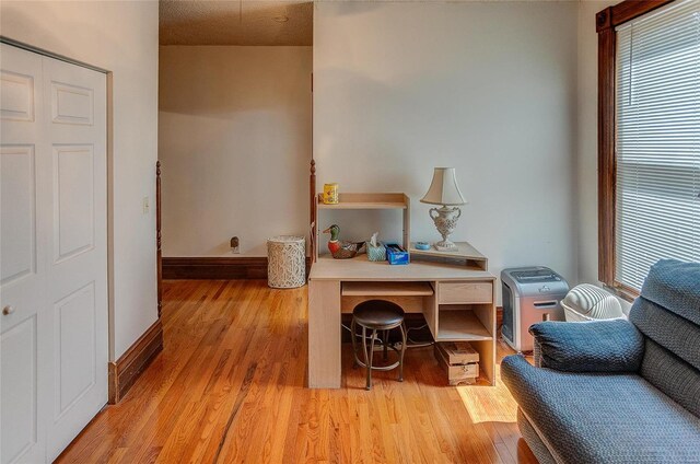 office with light wood-type flooring