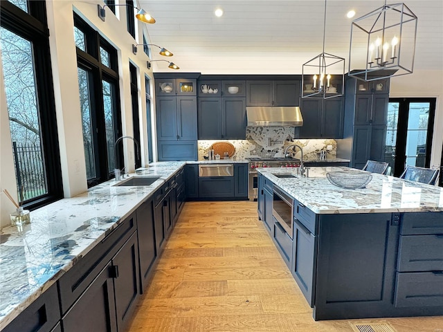 kitchen with plenty of natural light, sink, light wood-type flooring, and tasteful backsplash