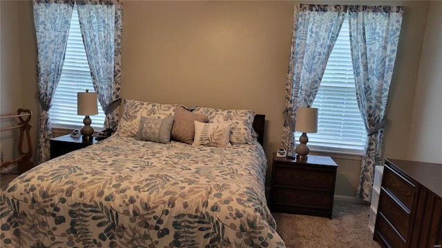 carpeted bedroom with multiple windows