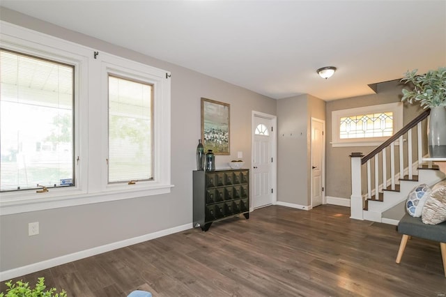 entryway featuring a wealth of natural light and dark hardwood / wood-style floors