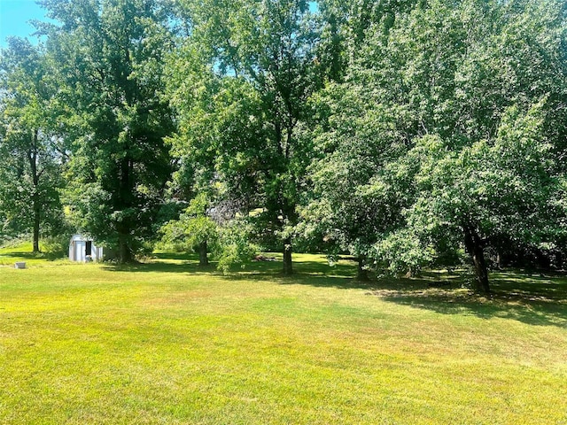 view of yard featuring a shed