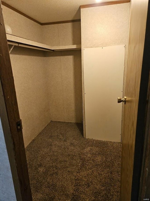 walk in closet with carpet flooring