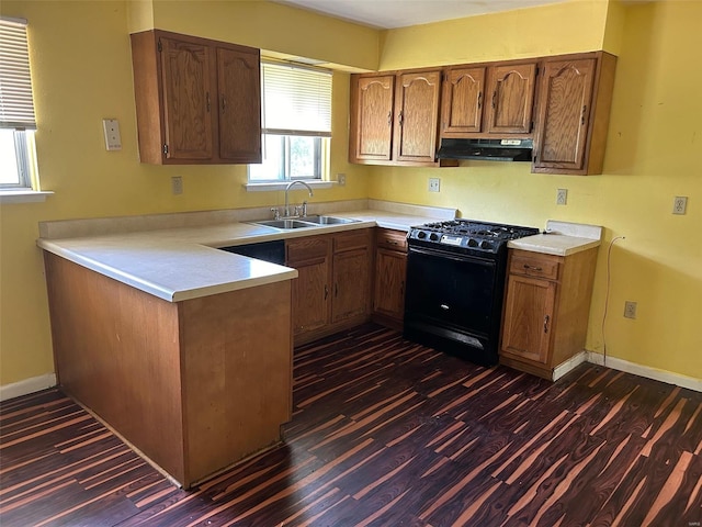 kitchen with sink, dark hardwood / wood-style floors, and gas stove