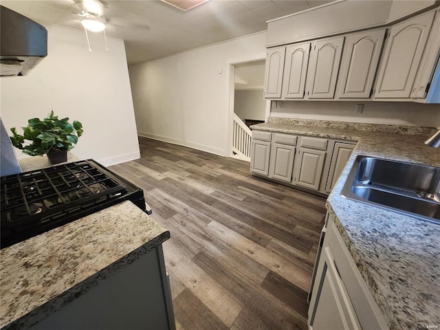 kitchen featuring sink, ceiling fan, and dark hardwood / wood-style floors