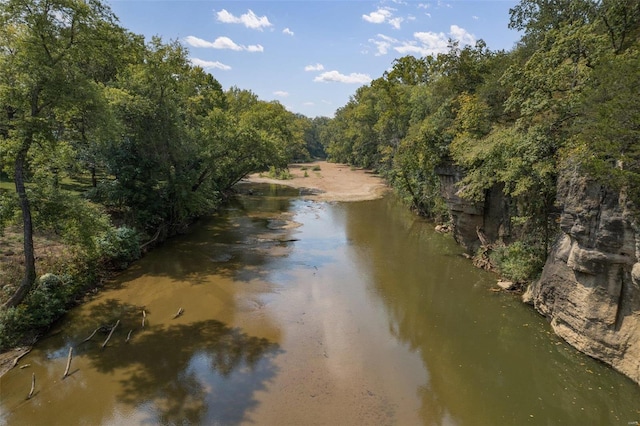 property view of water featuring a view of trees