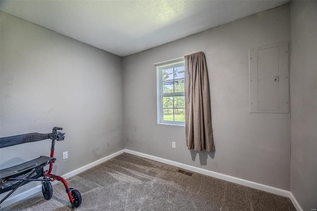 exercise room featuring electric panel and carpet