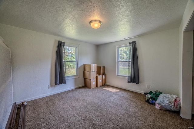 unfurnished room with a textured ceiling and carpet flooring