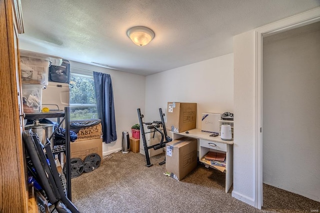 office with carpet and a textured ceiling