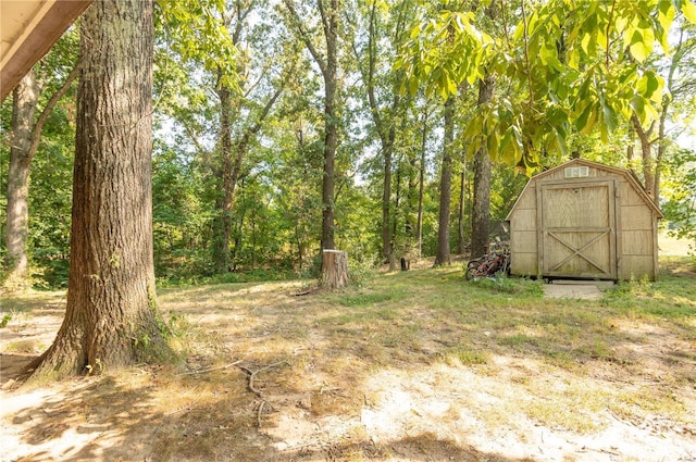 view of yard with a storage shed and an outbuilding