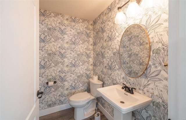 bathroom with wood-type flooring, sink, and toilet